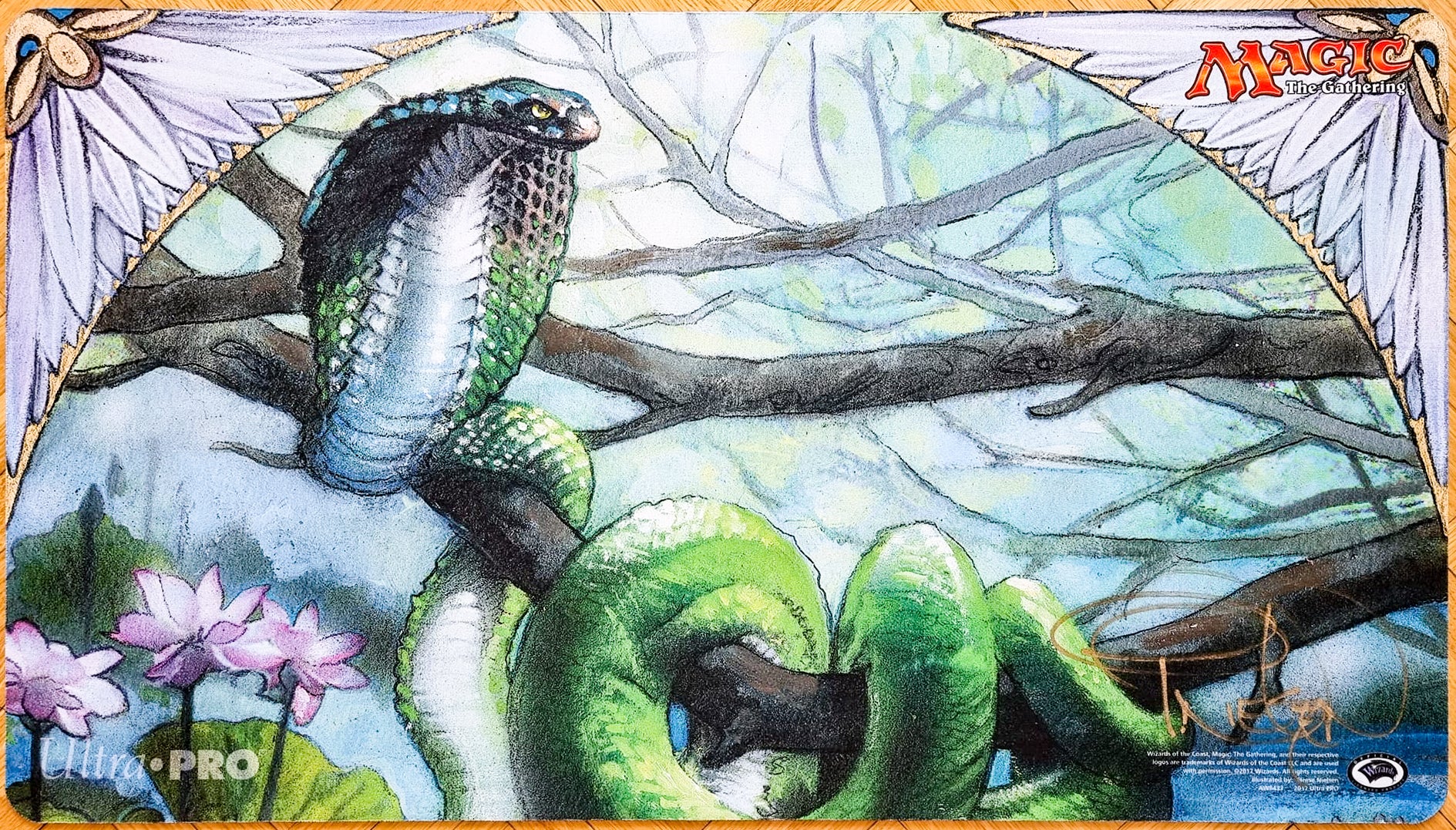 Thumbnail 1