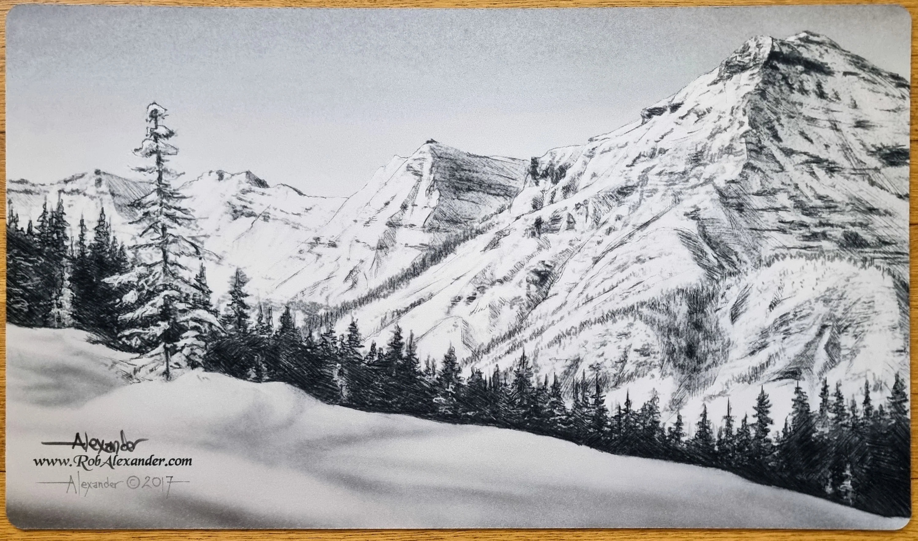Taiga [Black & White] - Rob Alexander - Signed MTG Playmat